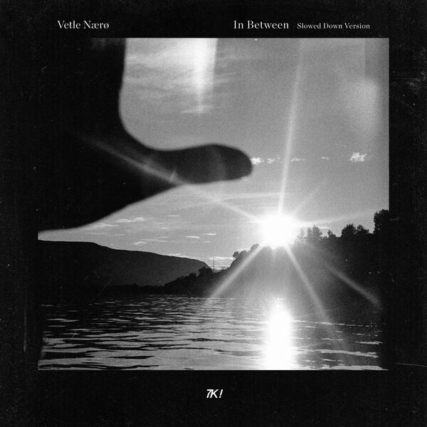 Vetle Nærø - In Between (Slowed Down Version) (2024) [24Bit-44.1kHz] FLAC [PMEDIA] ⭐️ Download