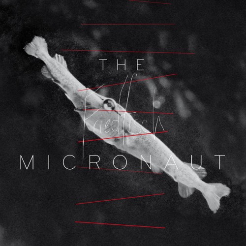 The Micronaut – Friedfisch (2012)
