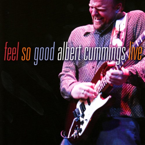 Albert Cummings – Feel So Good: Albert Cummings Live (2008)