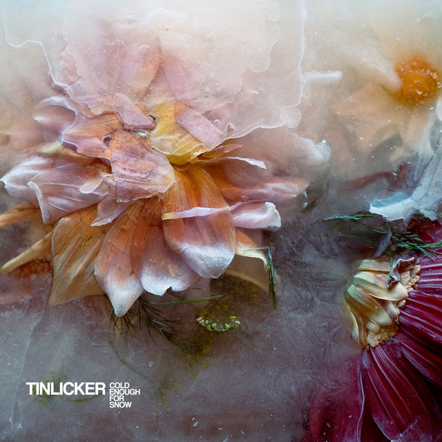 Tinlicker – Cold Enough For Snow (2024) [24Bit-44.1kHz] FLAC [PMEDIA] ⭐️