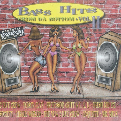 Various Artists - Bass Explosion U.S.A. Volume 4 The Best In Bass (1996) Download