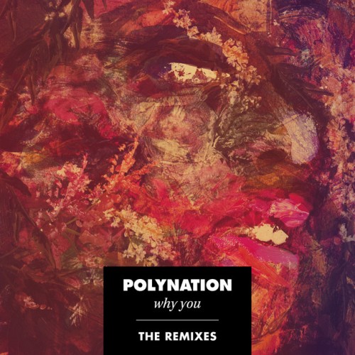 Polynation – Why You (The Remixes) (2015)