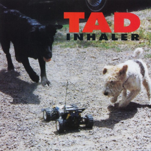 Tad – Inhaler (1993)