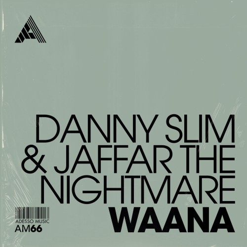 Danny Slim & JAFFAR THE NIGHTMARE - Waana (Extended Mix) (2024) Download