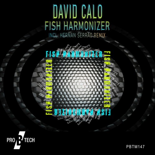 David Calo-Fish Harmonizer-(PBTM147)-16BIT-WEB-FLAC-2024-AFO
