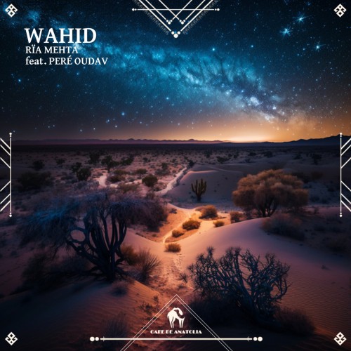 Ria Mehta ft Pere Oudav-Wahid-(CDA352)-SINGLE-16BIT-WEB-FLAC-2024-AFO