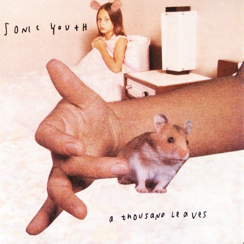 Sonic Youth-A Thousand Leaves-24BIT-192KHZ-WEB-FLAC-1998-TiMES