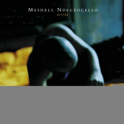 Meshell Ndegeocello-Bitter-16BIT-WEB-FLAC-1999-ENRiCH