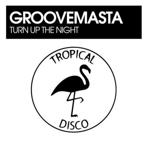 Groovemasta – Turn Up The Night (2024)