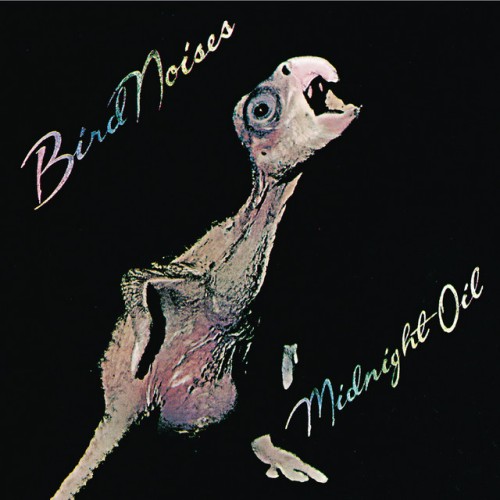 Midnight Oil – Bird Noises (2008)