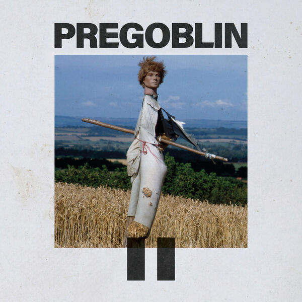 PreGoblin - PREGOBLIN II (2024) [24Bit-48kHz] FLAC [PMEDIA] ⭐️ Download