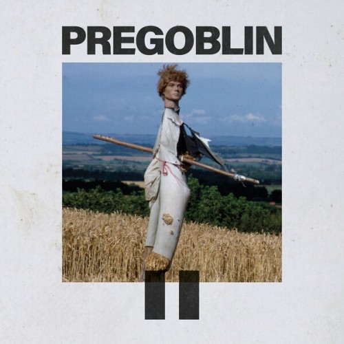 PreGoblin – PREGOBLIN II (2024) [24Bit-48kHz] FLAC [PMEDIA] ⭐️
