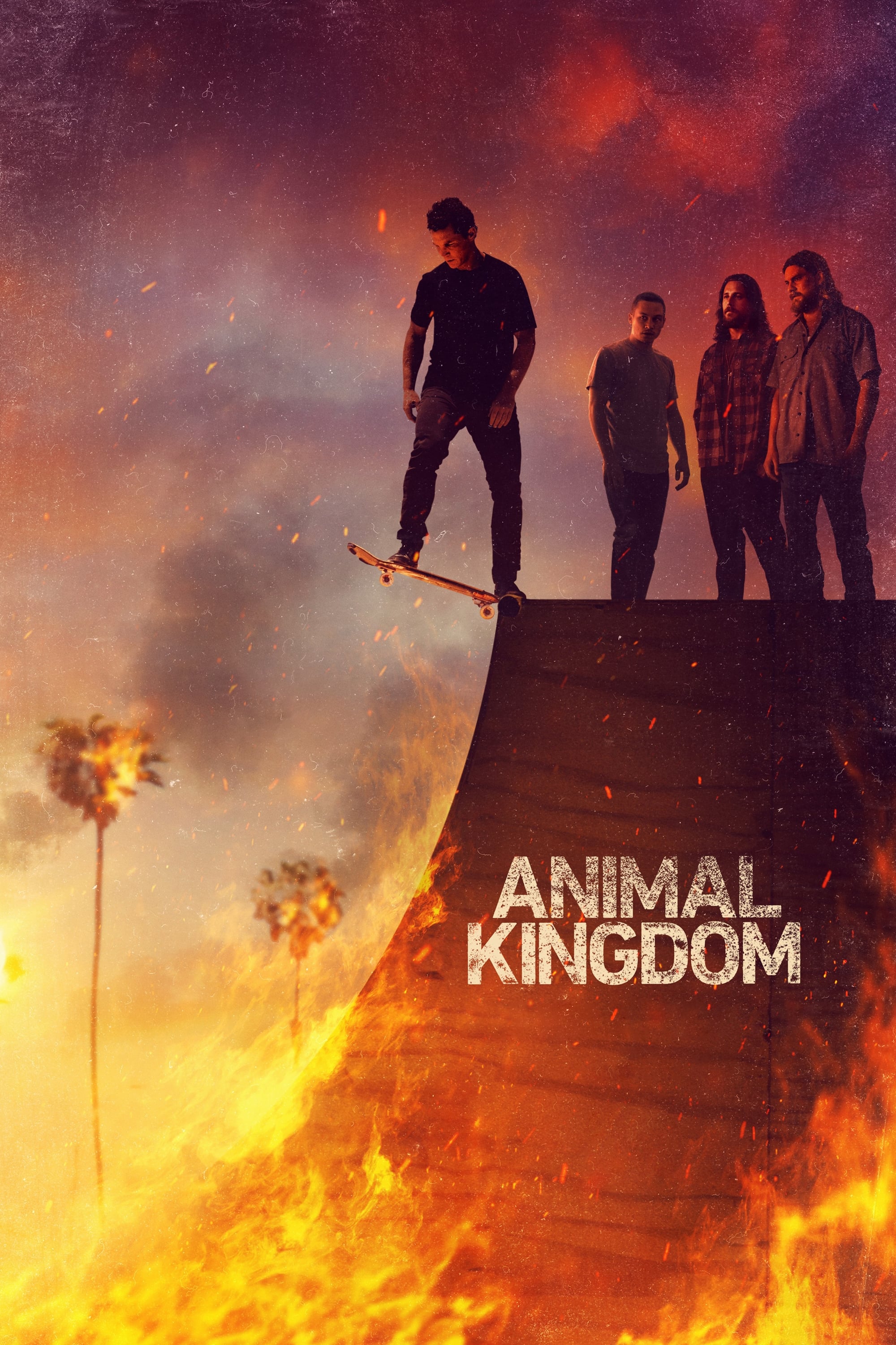 Animal Kingdom (Season 04) 1080p