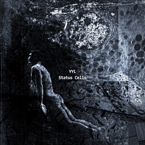 Yyl - Status Cells (2016) Download