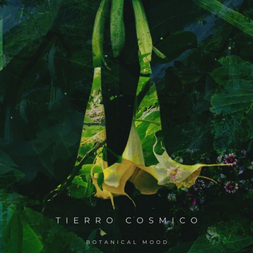 Tierro Cosmico – Botanical Mood (2024)