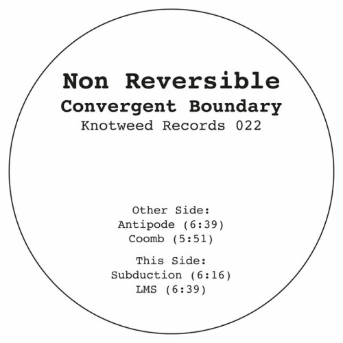Non Reversible – Convergent Boundary (2017)