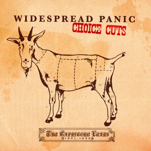 Widespread Panic - Choice Cuts: The Capricorn Years 1991-1999 (2007) Download