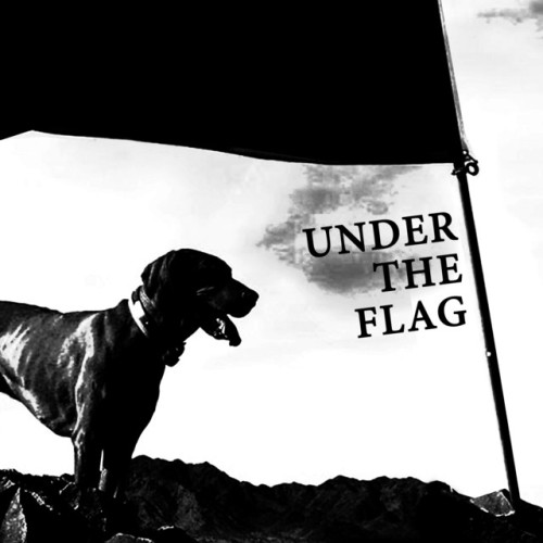 VA-Under The Flag-(BTV001)-16BIT-WEB-FLAC-2019-BABAS