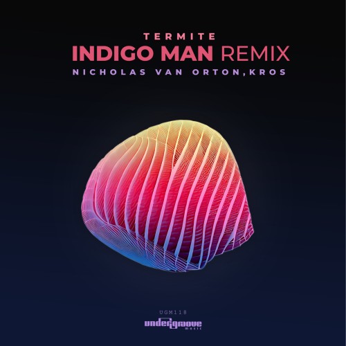 Nicholas Van Orton & Kros – Termite Indigo Man Remix (2024)