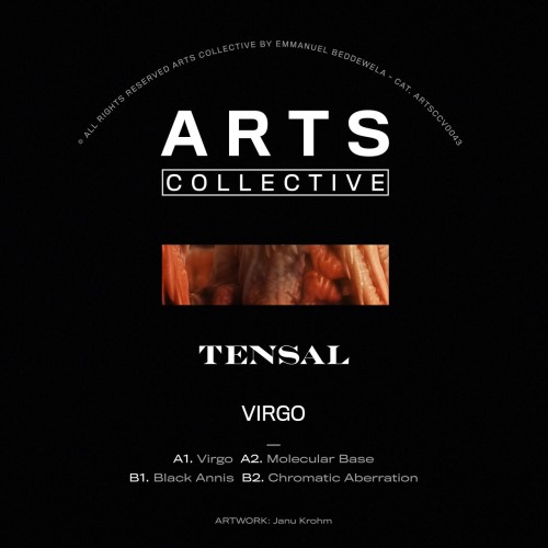 Tensal – Virgo (2024)