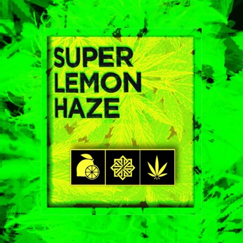 B.G.H - Super Lemon Haze Remixes (2024) Download
