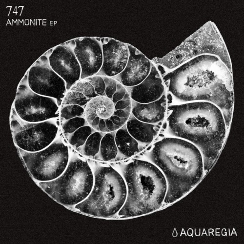 747 – Ammonite EP (2016)