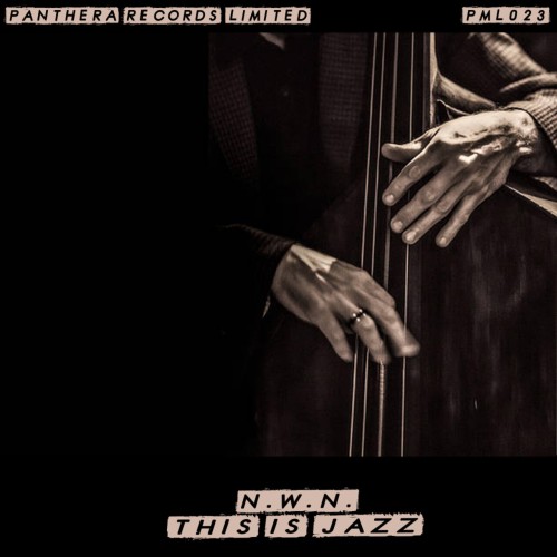 N.W.N. - This Is Jazz (2024) Download