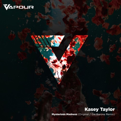 Kasey Taylor - Mysterious Madness (2024) Download