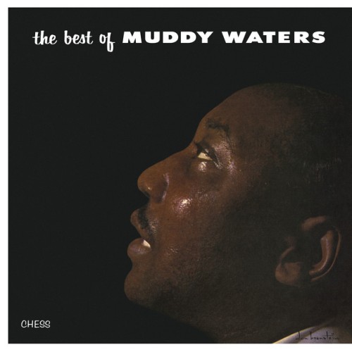 Muddy Waters-Muddy Waters-CD-FLAC-1991-oNePiEcE