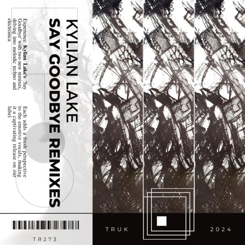Kylian Lake – Say Goodbye Remixes (2024)
