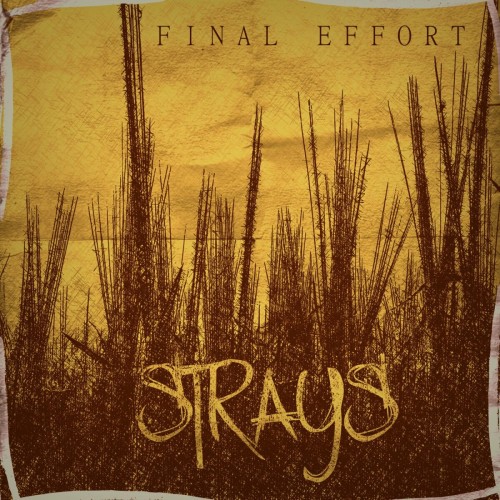 Final Effort – Strays (2013)