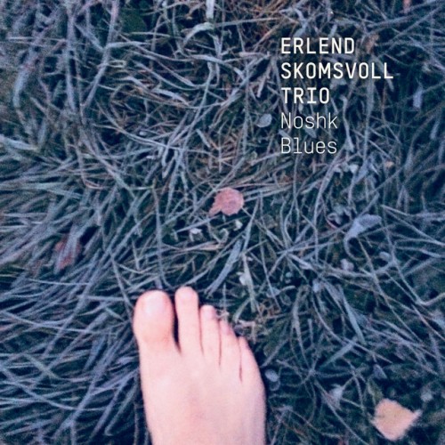 Erlend Skomsvoll Trio – Noshk Blues (2024)