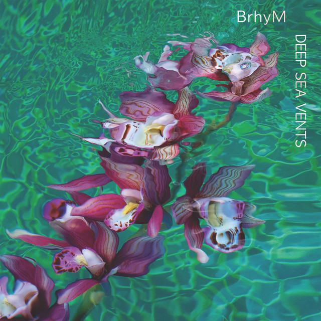 BrhyM - Deep Sea Vents (2024) [24Bit-48kHz] FLAC [PMEDIA] ⭐️ Download