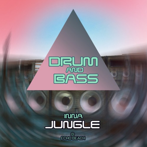 Various Artists - Drum And Bass Inna Jungle @ Echo Beach (2023) Download