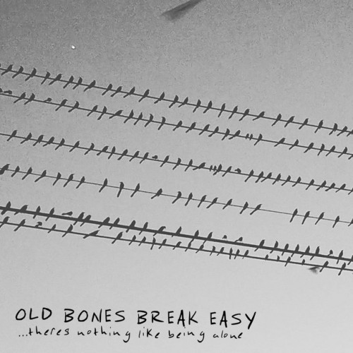 Old Bones Break Easy-…Theres Nothing Like Being Alone-16BIT-WEB-FLAC-2020-VEXED