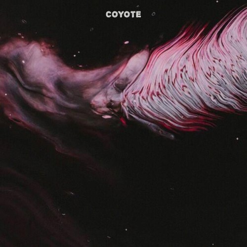 Coyote (Mx) – Evil Frame (2022)