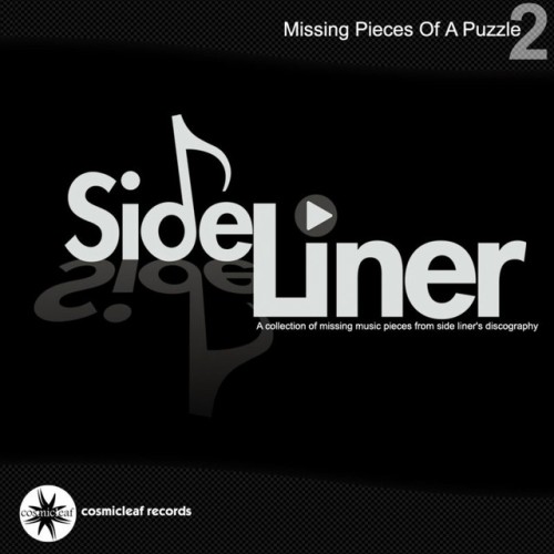 Side Liner – Missing Pieces Of A Puzzle 2 (2012)