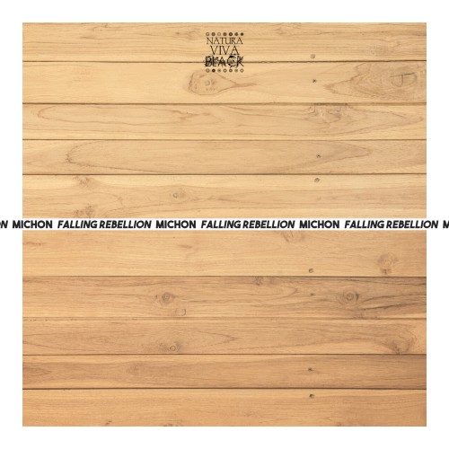 Michon - Falling Rebellion (2024) Download