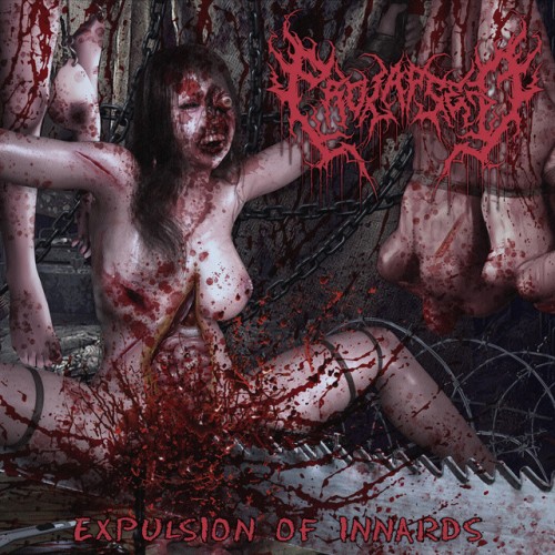 Prolapsed - Expulsion Of Innards (2024) Download