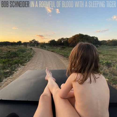 Bob Schneider-In a Roomful of Blood with a Sleeping Tiger-16BIT-WEB-FLAC-2021-ENViED