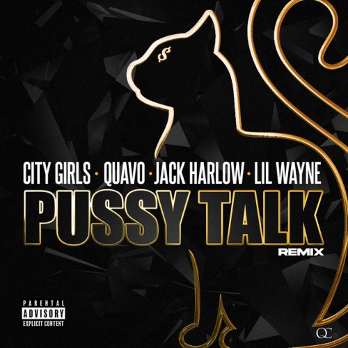 City Girls-Pussy Talk Remix-Single-24BIT-WEB-FLAC-2020-TiMES
