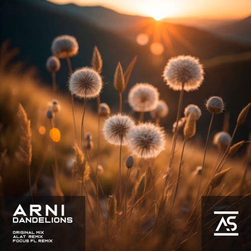 Arni – Dandelions (2024)