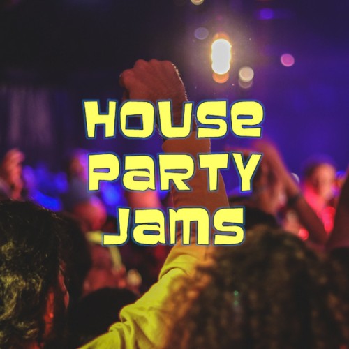 Various Artists – House Party 95 The Ultimate Ravemix (1995)