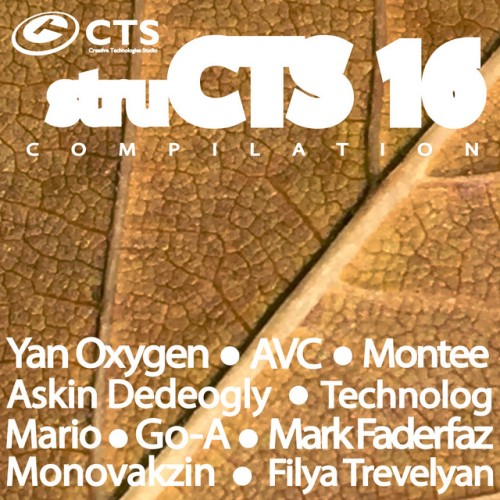 Various Artists – struCTS, Vol.16 (2017)