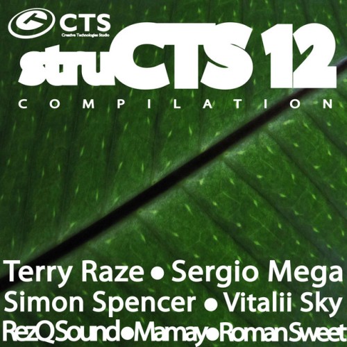 Various Artists – struCTS, Vol. 12 (2014)