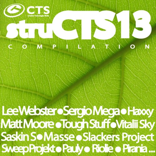 Various Artists - STRUCTS VOL.13 (2015) Download