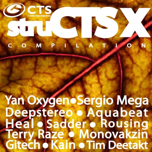 Various Artists – struCTS, Vol. 10 (2013)
