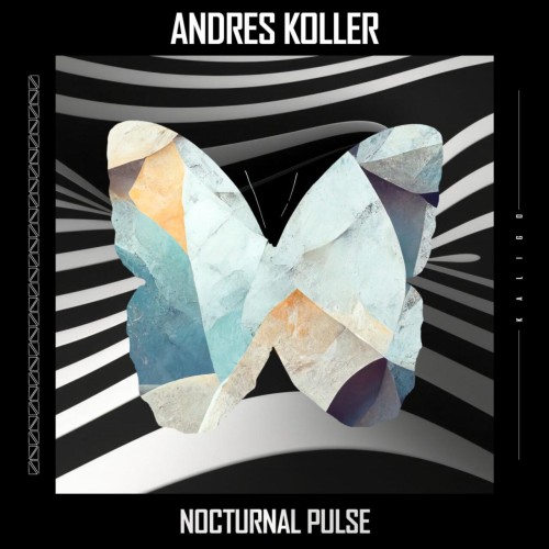 Andres Koller – Nocturnal Pulse (2024)