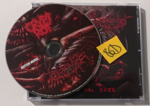 Crypt Rot - A Lethal Dose (2024) Download
