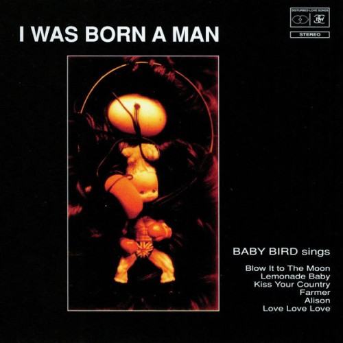 Baby Bird-I Was Born A Man-16BIT-WEB-FLAC-1995-OBZEN